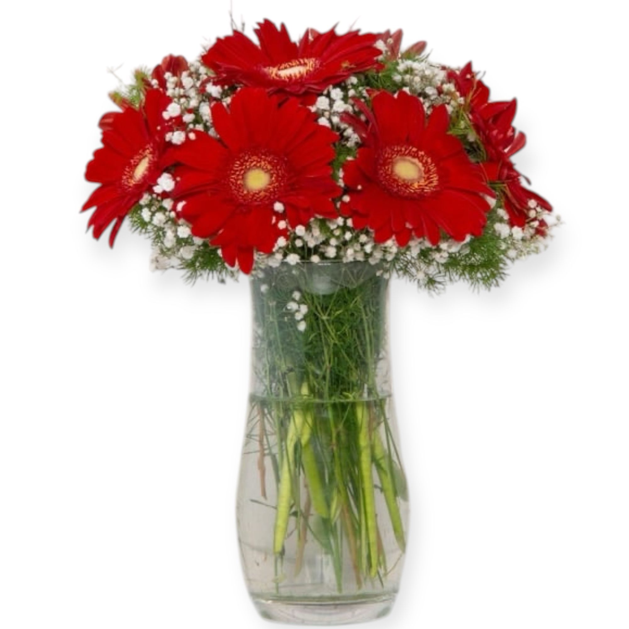Cam Vazoda Kırmızı Gerbera Aranjmanı